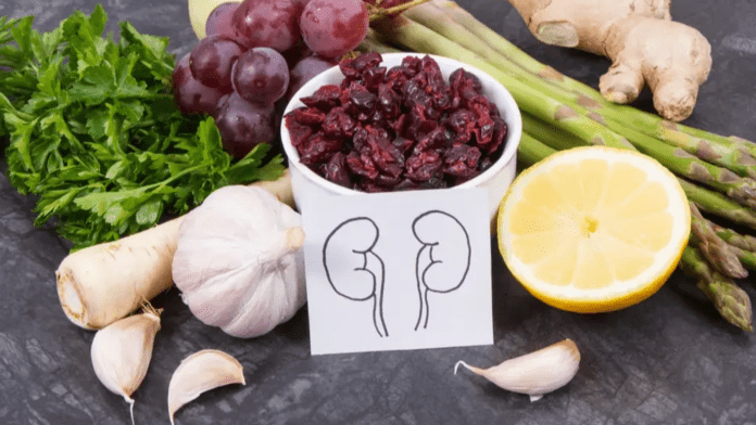 kidney health