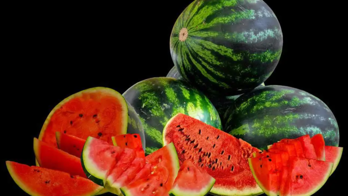 watermelon