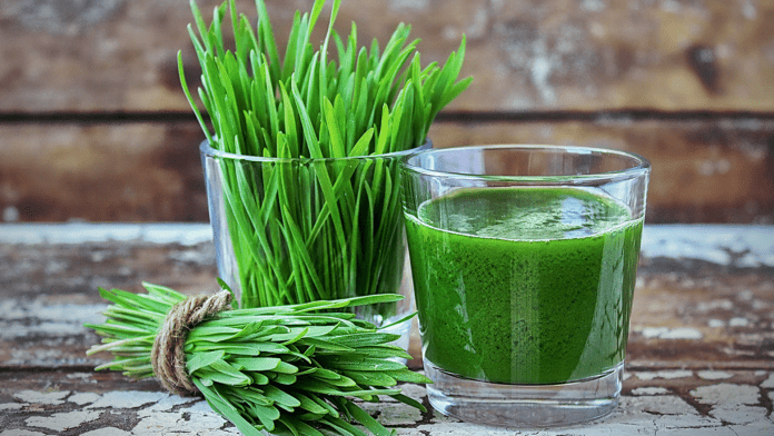 Wheatgrass Juice