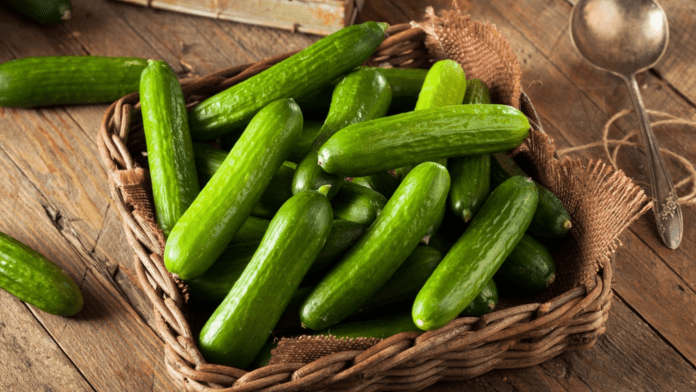 store cucumbers