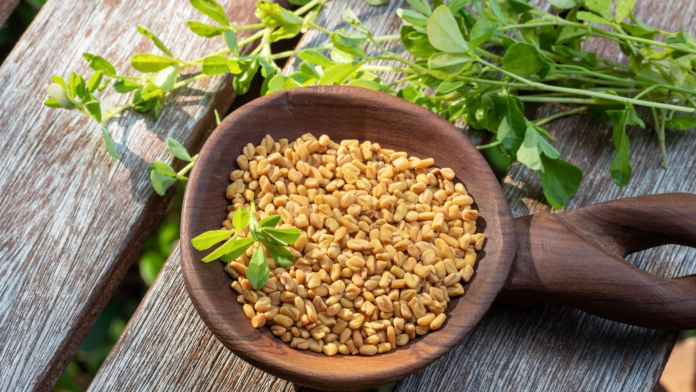 Fenugreek Seeds