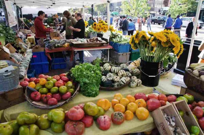 Farmer's Market