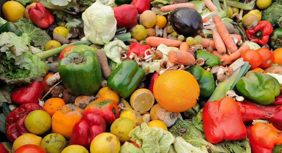 Organic Food Waste