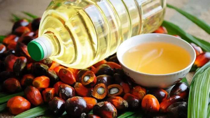 Palm oil